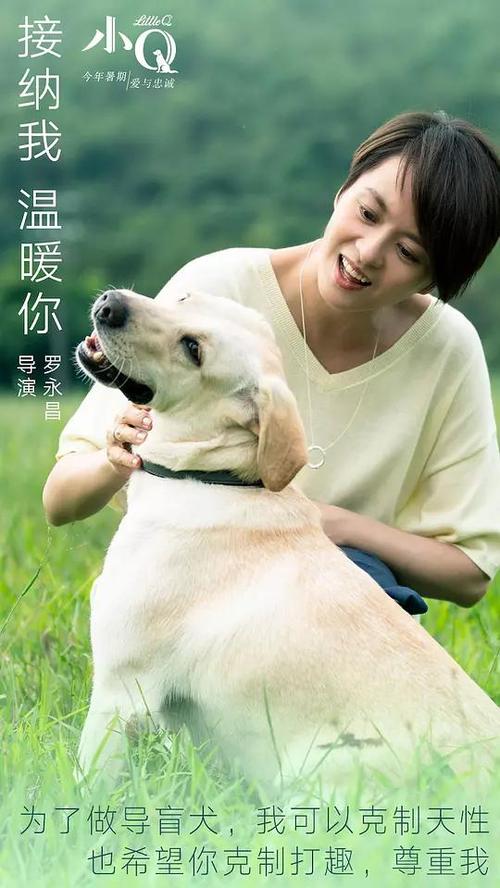 仿制瓦尔多斯塔州立大学学位证